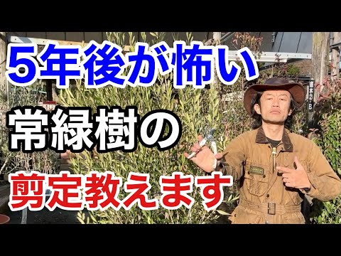 IUCN分類における絶滅の危険性を示す図。