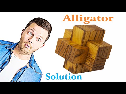 Alligator from Pelikan - Solution