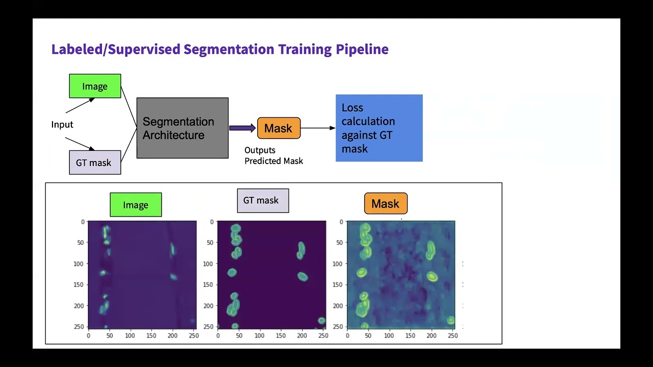Data-Efficient Deep Learning Framework for Segmentation and Classification of Histopathology Images