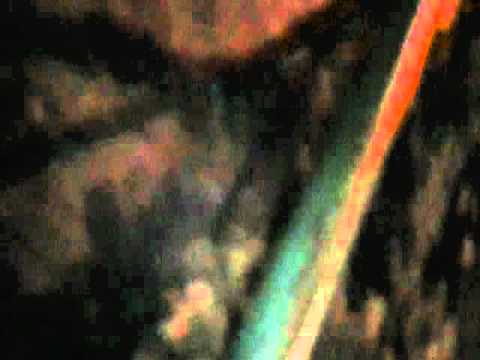 Lil'Red and Heavy Hitterz Click