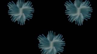 Broadcast-I Found The F