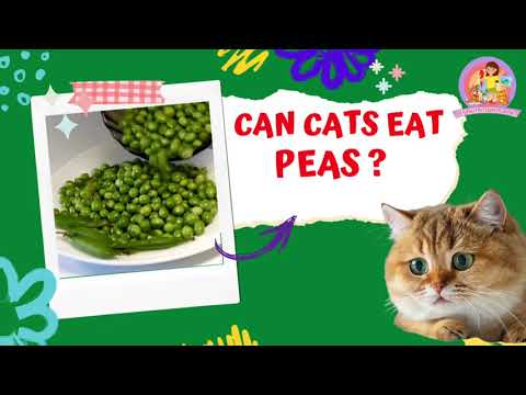 Why You Should Add Peas To Your Cat's Diet - 9 Amazing Health Benefits! #cats