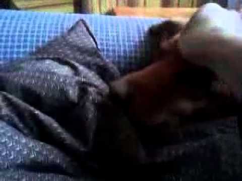 katie in blanket wants to take nap