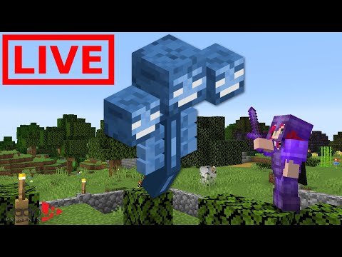 Defeating the Wither LIVE!!!