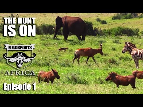 Fieldsports Africa – The Hunt Is On
