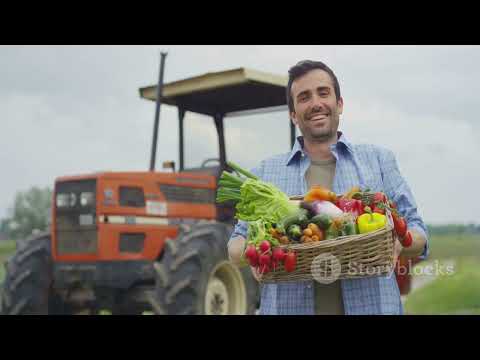 Segurança no Trabalho Rural: Novas Regras 2026!
