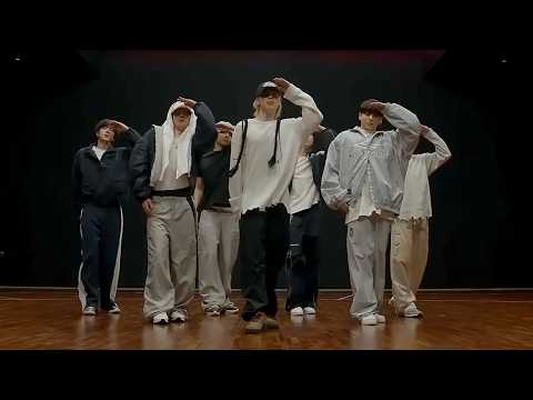 BTS - 'SWIM' Dance Practice [MIRRORED]