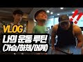 다이어트, 운동 루틴 VLOG│윈터슈레딩 Ep06