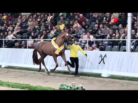 Onatopp v. Opoque x Bon Bravour 