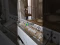 Rice Seed Cleaning Line With Color Sorter Auto Bagging And Stacker