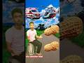 Rounding Peanuts To Ambulance Helicopter Bus Truck Vehicles Names Magic Video