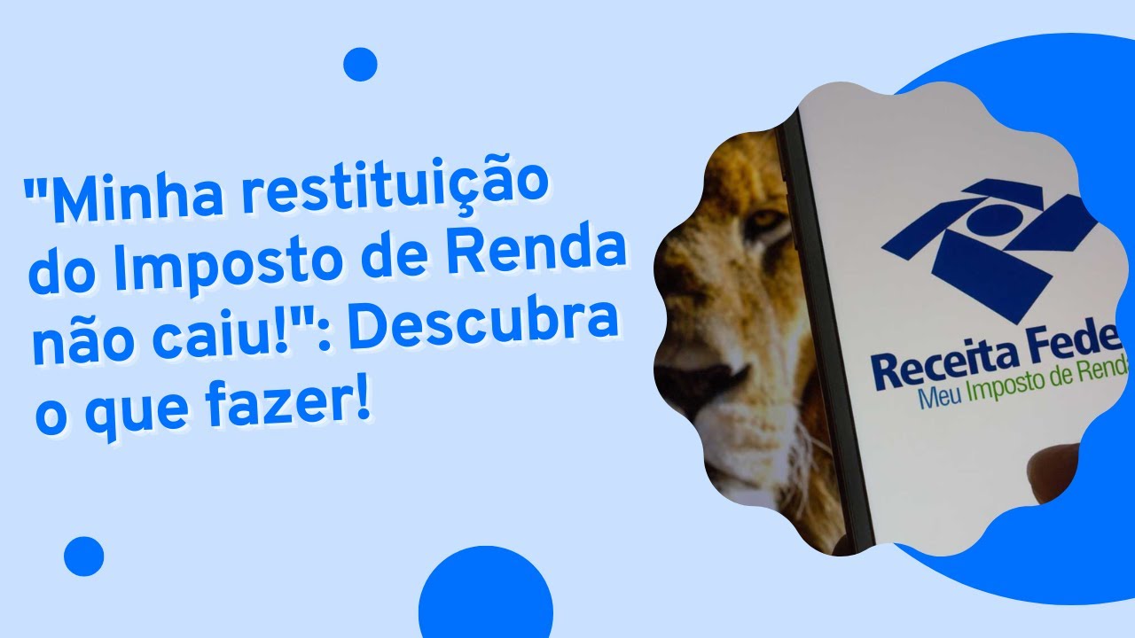 Minha restituição do Imposto de Renda não caiu: Descubra o que fazer!