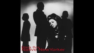 Black Box - Native New Yorker (Steve Silk Hurley Rmx) Official Video