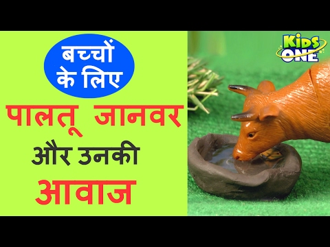 पालतू जानवर और उनकी आवाज | खेलो और सीखो 