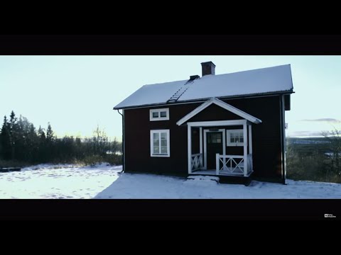 Hang Massive, J Rokka & Veda  - Marine Migration