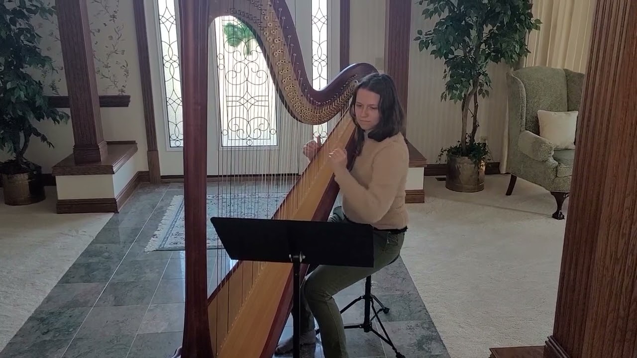 Promotional video thumbnail 2 for The Legal Harpist
