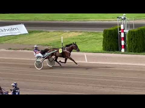 Calgary Games - Träningsjobb Solvalla 13/07/2022