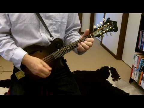 Mandolin with Gerry Hale - Wheel Hoss