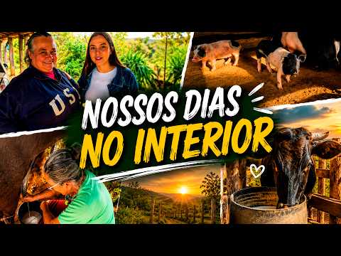 ALGUNS DIAS COM MINHA AVÓ❤️NA ROÇA EM PRATINHA MG