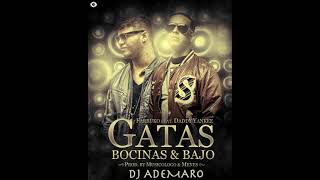 TEMAZO REMIX 2018 - FARRUKO FT. DADDY YANKEE - "GATAS, BOCINAS & BAJO" - FER PALACIO & DJ ADEMARO