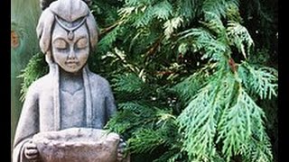 Musica para Abrir el Tercer ojo - Musica para Activar el Poder de la Mente