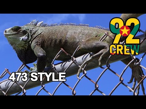 473 Style | 92 Crew Caribbean Jungle DnB with DJ 473 feat Ron