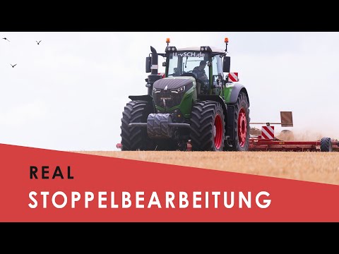 Fendt 1038 im Einsatz bei der Stoppelbearbeitung