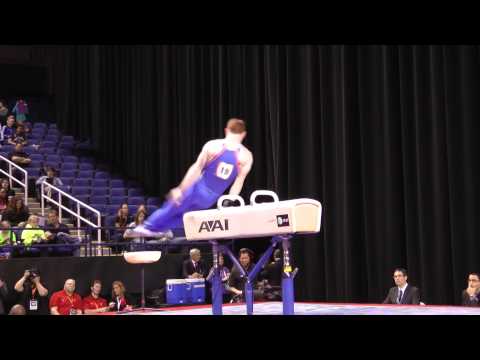 Daniel Purvis - Pommel Horse - 2014 AT&T American Cup