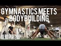 Gymnastics meets Bodybuilding | IFBB Classic Physique Pro Jamie LeRoyce
