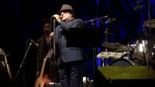 Van Morrison Forest Hills 2016 In The Afternoon - In The Garden