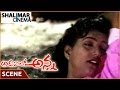 అడవిలో అన్న సీన్స్ Mohan Babu Roja Love Scene Mohan Babu Roja Shalim