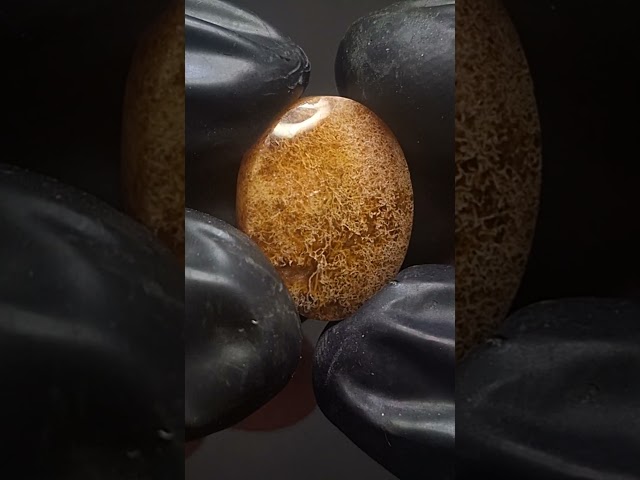 حجر عقيق مشمشي مشجر طبيعي بتشكيل رائع