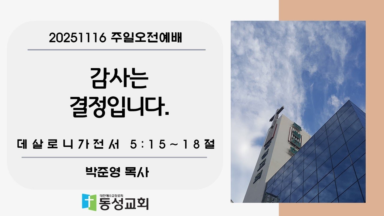 감사는 결정입니다