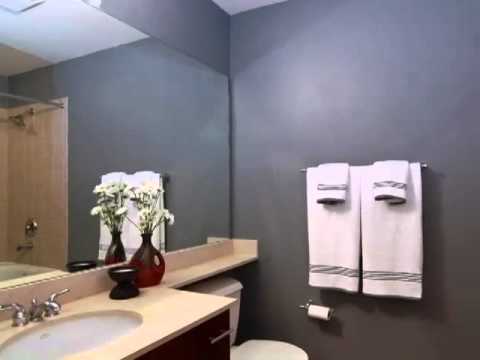 1040 W Adams Street #452 Chicago, IL 60607