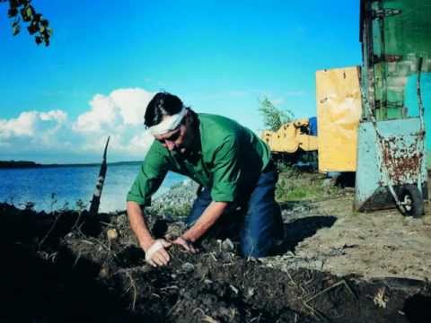 Marko Haavisto & Poutahaukat - Stay