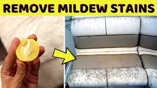 How to Remove Mildew Mold Stains From Outdoor Cushions without Bleach