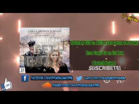 Hardwell & W&W vs. MNEK & Zara Larsson & Dr Phunk - Never Forget You vs. Get Down (Hardwell Mashup)