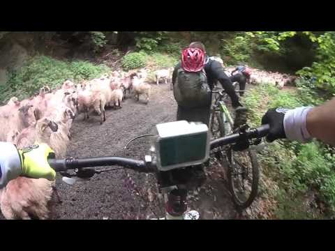 Valea Cernei - Cheile Corcoaia - Izbucul Cernei