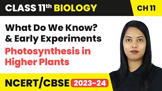 What do we know? & Early Experiments - Photosynthesis in Higher Plants | Class 11 Biology Ch11| CBSE
