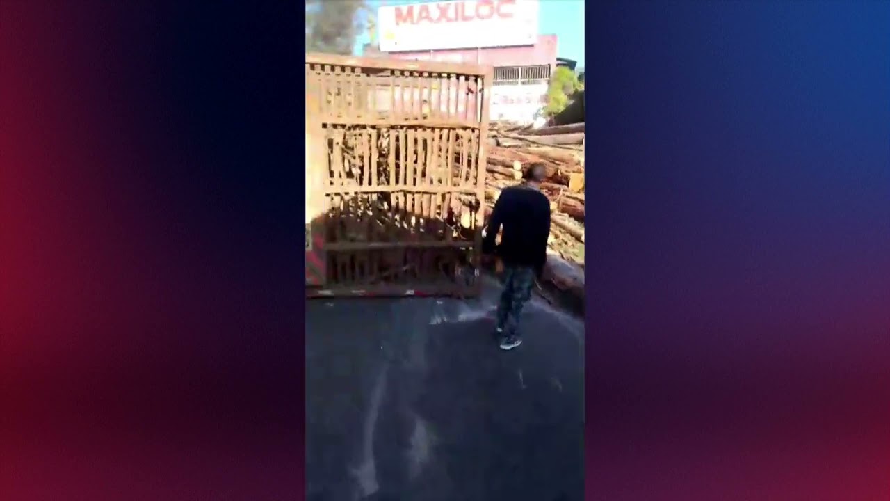 Caminhão carregado com toras de eucalipto tomba em Varginha