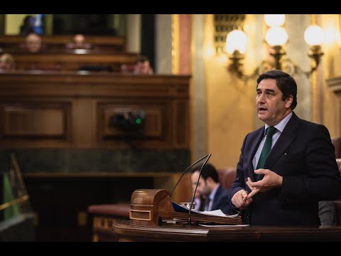 Intervención de José Ignacio Echániz en el Congreso de los Diputados.