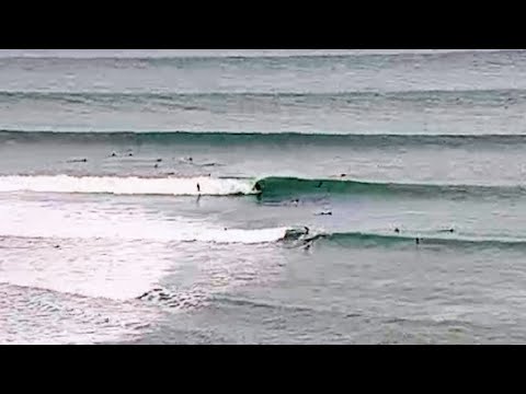 Clean, overhead morning at New Zealand pointbreak