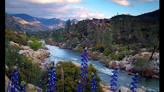 EmmyLou Harris*Kern River*California