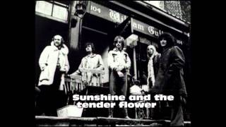 Strawbs, the flowers and young man