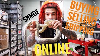 SELLING & SHIPPING SNAKES ONLINE
