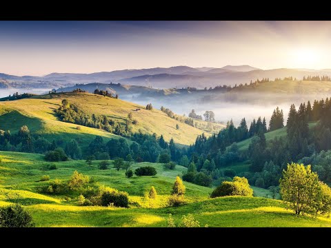 Relaxing Music: Manifesting Happiness, Harmony, Inner Peace, Soothing Relaxation