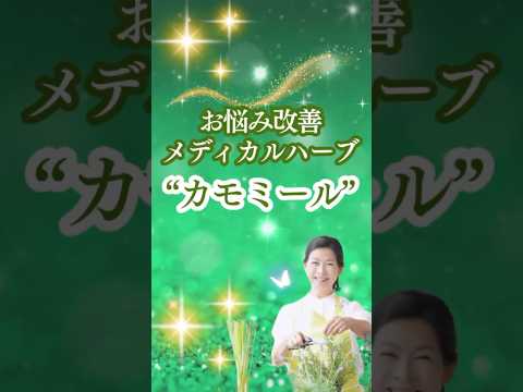 医療ビジネス薬科学科 2025年1月5日