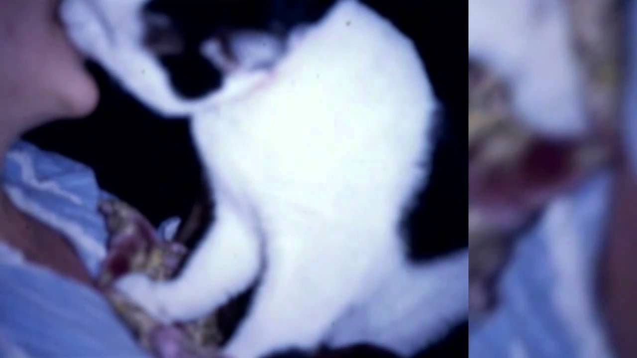 Infinity Kisses - The Movie