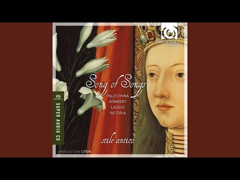 Alleluia: Tota pulchra es