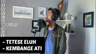 Download lagu TETESE ELUH X KEMBANGE ATI mp3